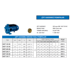 SKP 300 T Çift Kademeli Santrifüj Pompa – 3 HP 380V Trifaze - Detay Görsel