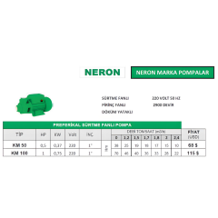Nortek Neron KM 100 Periferik Sürtme Fanlı Pompa – 1 HP 220V