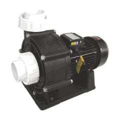 PLASTİK GÖVDELİ SU TRANSFER POMPASI 5.5HP - Detay Görsel