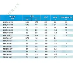 4'' Felsom Dalgıç Motor - İtalyan Malı Su Pompası Motoru | 0.75 – 10 HP - Detay Görsel