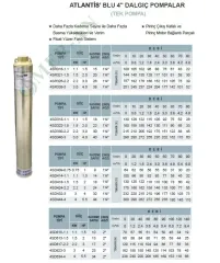 Atlantis Blu 4SD Serisi 4'' Tek Motorsuz Dalgıç Pompa - Pirinç Çıkışlı | 0.75 - 10 HP - Detay Görsel