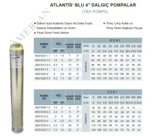 Atlantis Blu 4SD Serisi 4'' Tek Motorsuz Dalgıç Pompa - Pirinç Çıkışlı | 0.75 - 10 HP - Detay Görsel