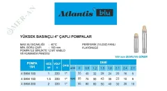 Atlantis Blu 4SKM Serisi Yüksek Basınçlı 4'' Dalgıç Pompa - 12m Kablolu ve Panolu - Detay Görsel