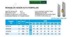 Atlantis Blu SCM Serisi Monoblok Keson Kuyu Dalgıç Pompa | Paslanmaz Çelik ve 380V Modeller